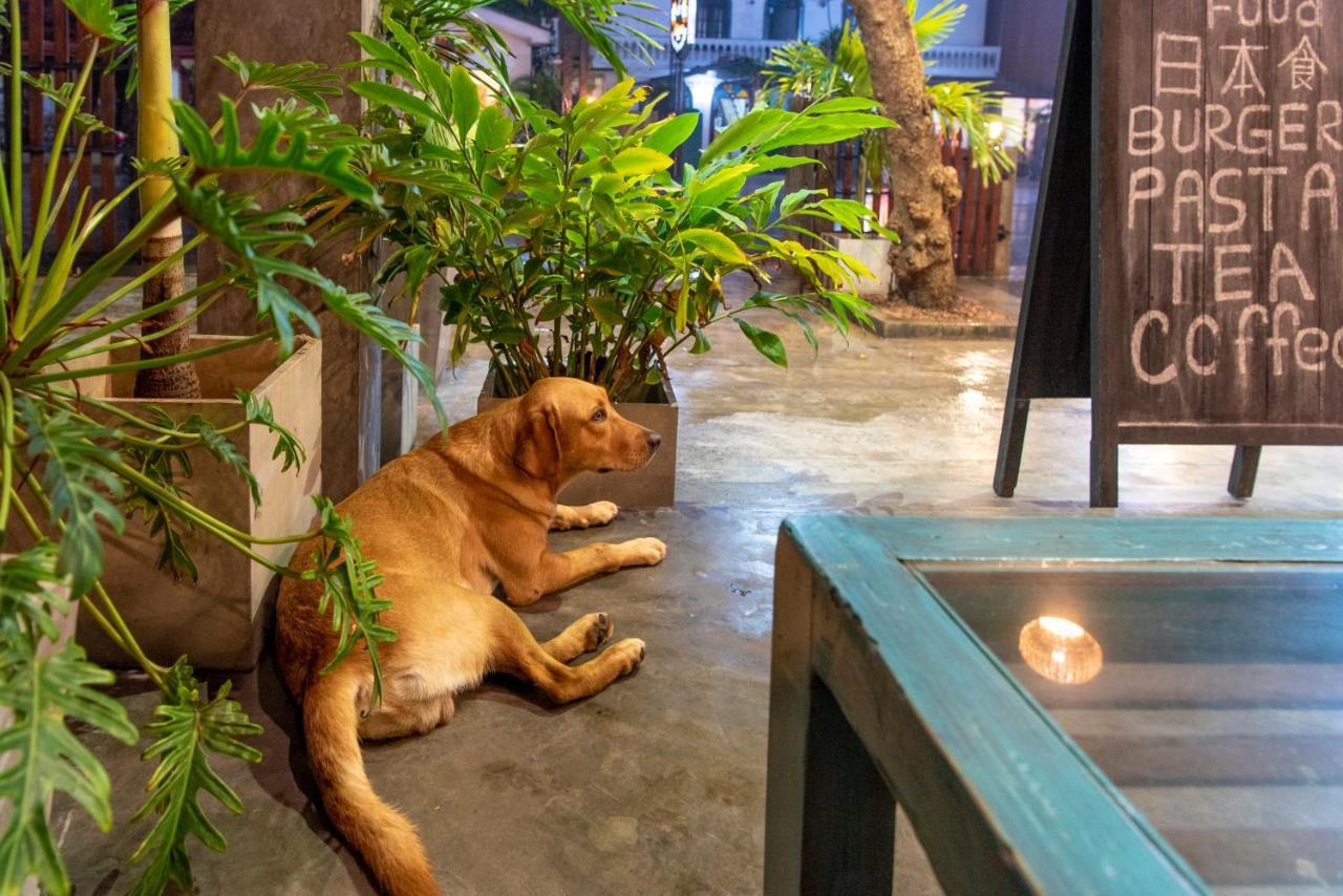 Hotel Vibration Hikkaduwa Ngoại thất bức ảnh